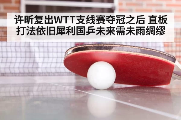 Xu Xin table tennis match