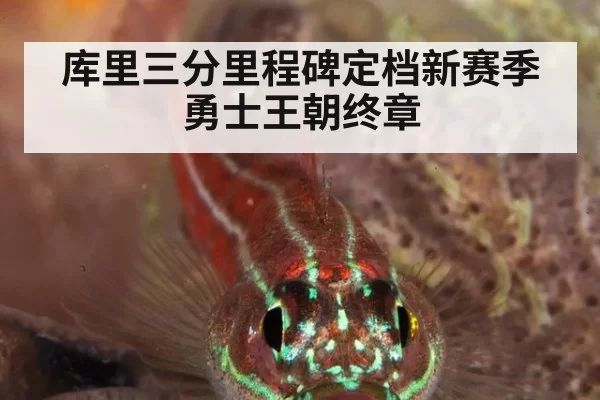 库里三分里程碑定档新赛季 勇士王朝终章